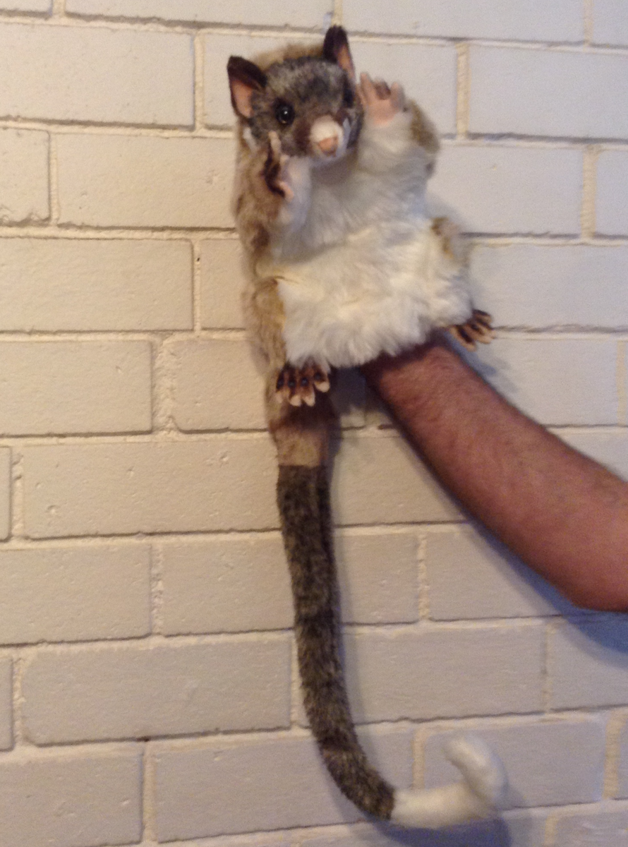 Hansa store possum puppet